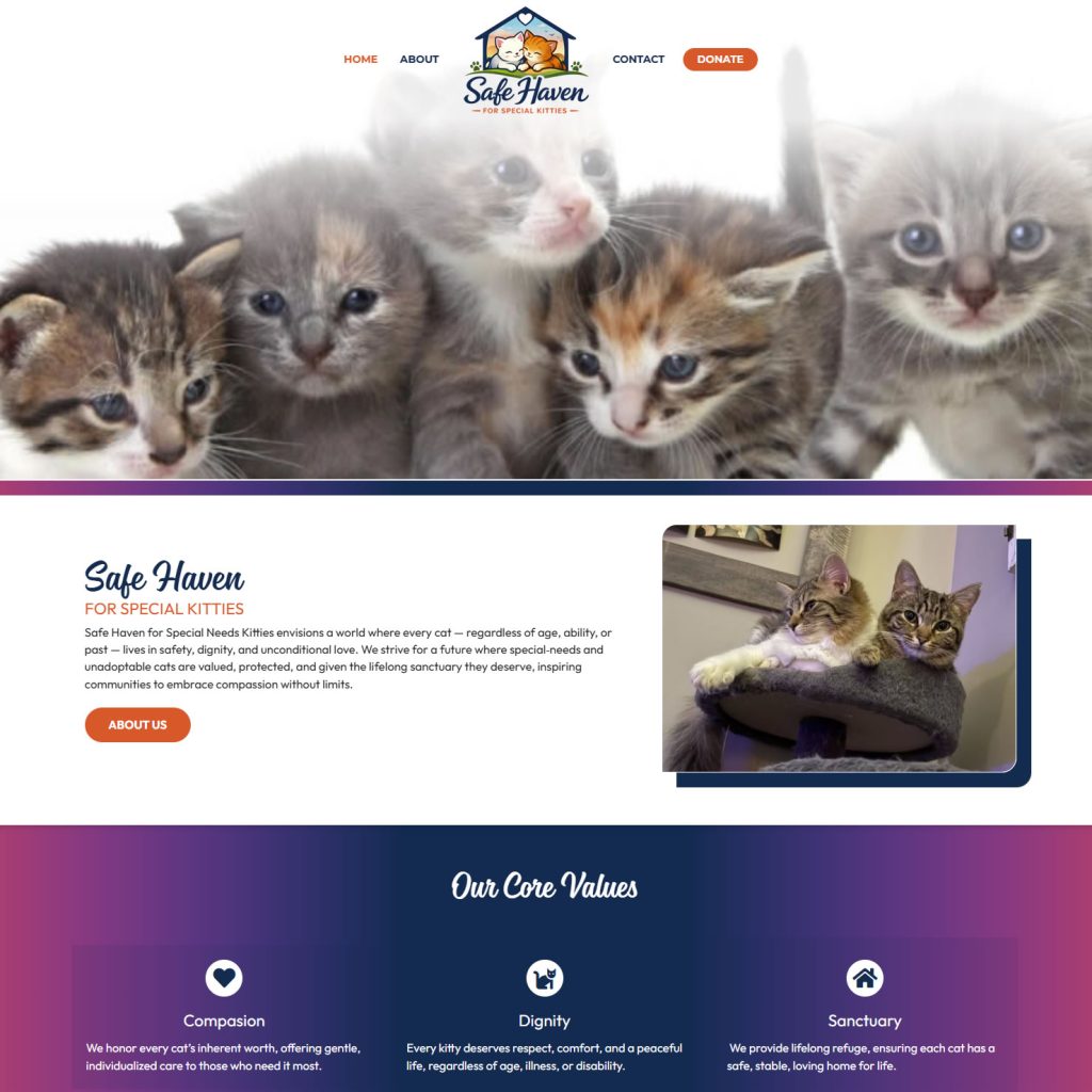 safe-haven-kitties-2026